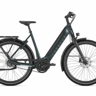 Gazelle Ultimate C8+ Pine Green Glans 2024