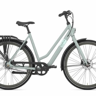 Gazelle Esprit Belt Light Olive Mat 2025