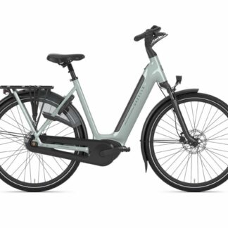 Gazelle Grenoble C8 Light Olive Glans 2026