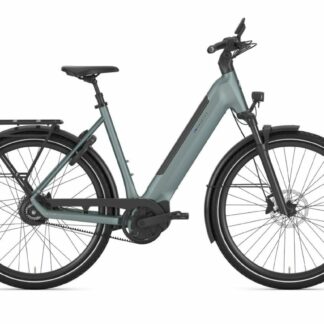 Gazelle Ultimate C380 Dew Green Mat 2026