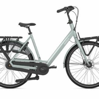 Gazelle Bloom Light Olive Glans 2026