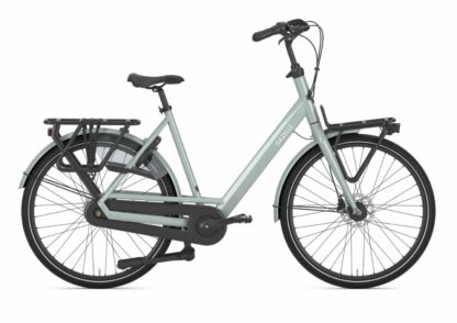 Gazelle Bloom Light Olive Glans 2026