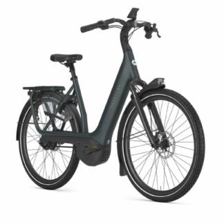 Gazelle Avignon C380 Teal Grey Mat 2026