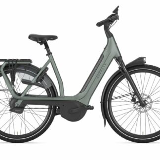 Gazelle Avignon C380+ Twilight Green Mat 2026