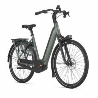 Gazelle Grenoble C8+ Twilight Green Mat 2025