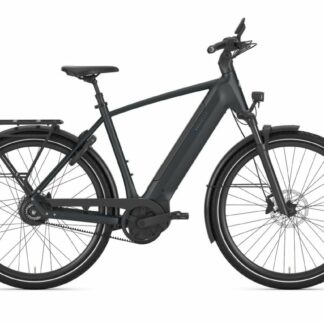 Gazelle Ultimate C380 Teal Grey Mat 2026