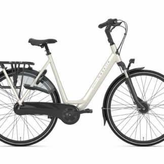 Gazelle Orange C7+ Ivory White Glans 2025