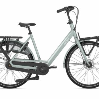 Gazelle Bloom Light Olive Glans 2026
