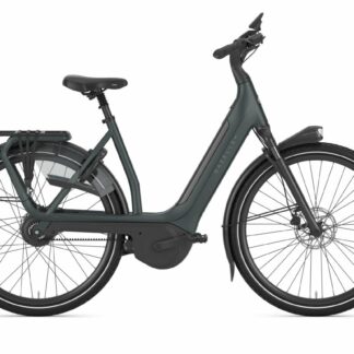 Gazelle Avignon C380 Teal Grey Mat 2026
