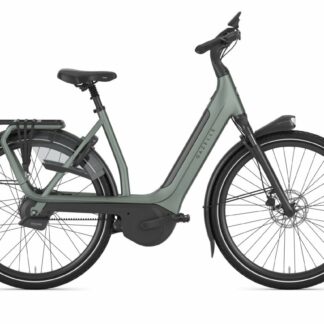 Gazelle Avignon C380+ Twilight Green Mat 2026