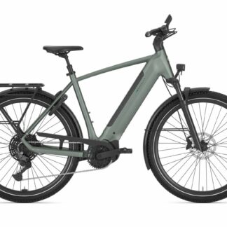 Gazelle Ultimate T11 Twilight Green Mat 2026