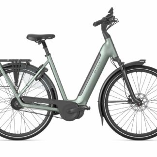 Gazelle Grenoble C5+ First Edition Twilight Green Mat 2027
