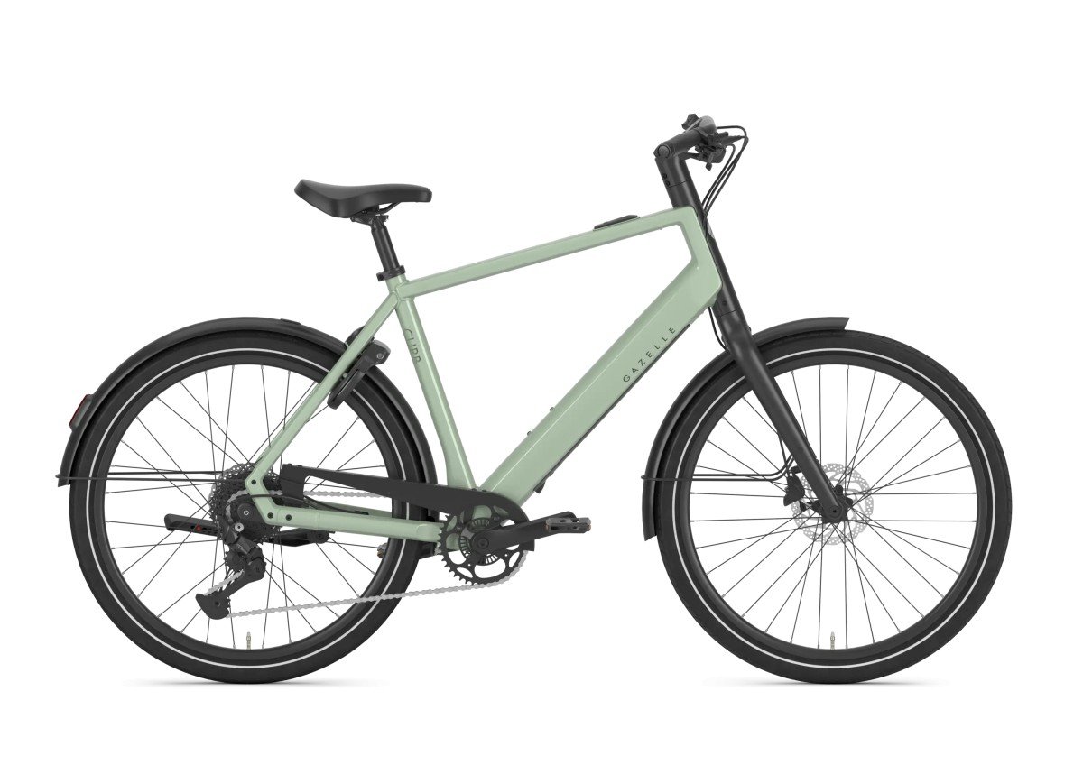 Gazelle Curb T9 Pistache Green Glans 2027